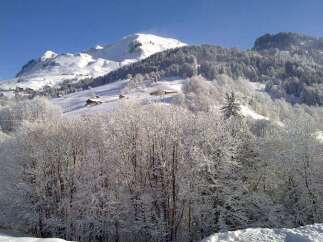 Nestled in a snowy mountainside, this charming chalet offers breathtaking views and serene winter landscapes.