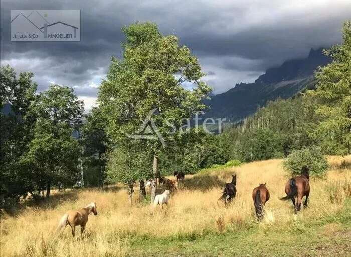 Discover a stunning property nestled in a picturesque landscape, perfect for horse lovers.