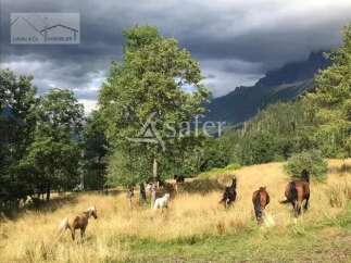 Discover a stunning property nestled in a picturesque landscape, perfect for horse lovers.