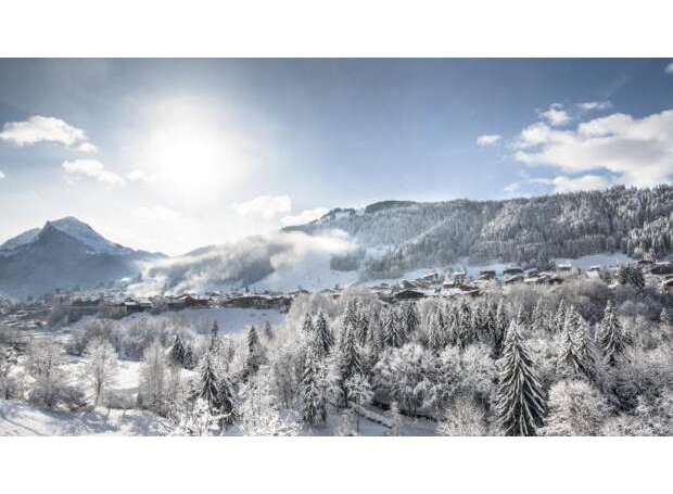 Nestled in a snowy mountain village, this idyllic property offers breathtaking views and serene winter landscapes.