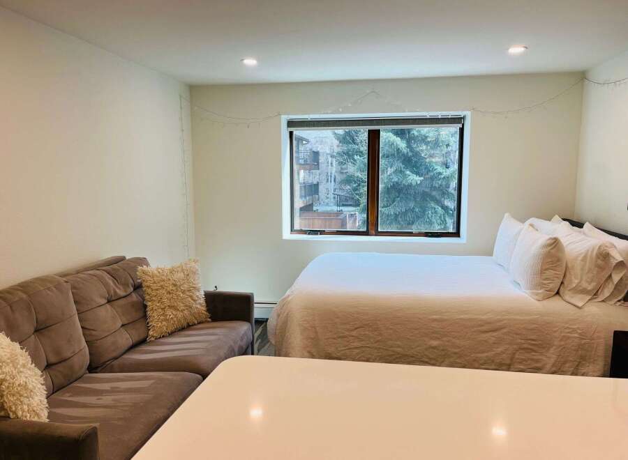 This cozy studio apartment offers a comfortable living space with a plush sofa and a queen-sized bed.