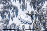 This stunning property boasts a spacious house with a unique architectural design, perfectly nestled amidst a snow-covered pine forest.