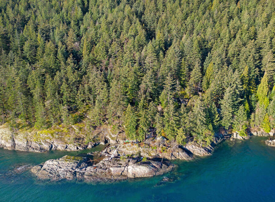 Discover this breathtaking waterfront property nestled amongst lush evergreen trees.