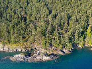 Discover this breathtaking waterfront property nestled amongst lush evergreen trees.