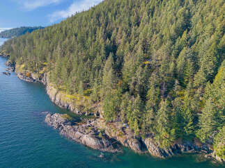 Discover this breathtaking waterfront property nestled amidst a lush evergreen forest.