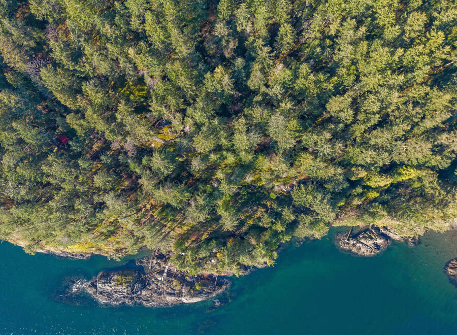Discover this secluded waterfront property nestled amidst lush evergreen forests.
