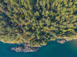 Discover this secluded waterfront property nestled amidst lush evergreen forests.