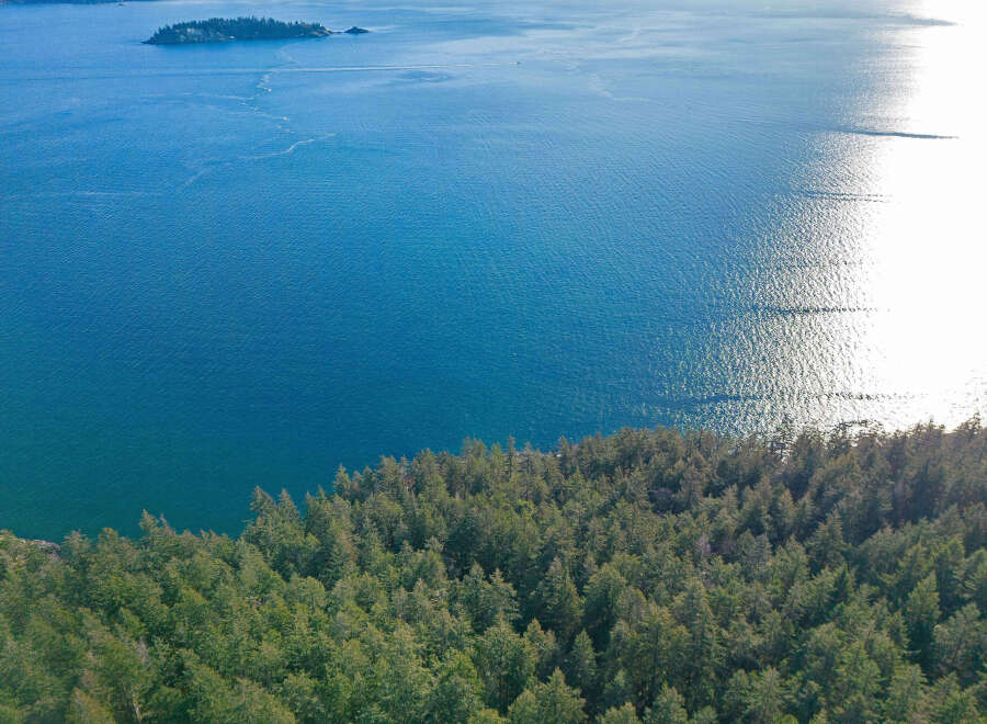 Spectacular waterfront property boasting breathtaking ocean views and lush evergreen forest.