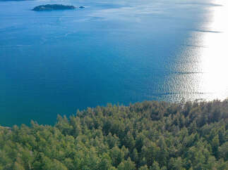 Spectacular waterfront property boasting breathtaking ocean views and lush evergreen forest.