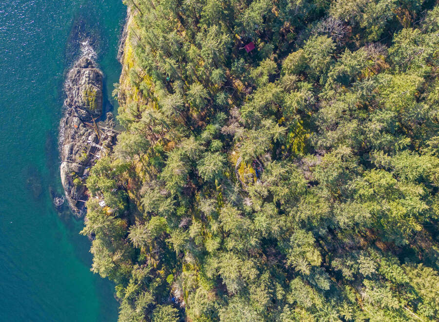 This stunning waterfront property boasts a private, secluded forest setting with mature trees offering breathtaking views.