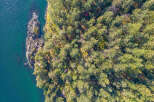 This stunning waterfront property boasts a private, secluded forest setting with mature trees offering breathtaking views.