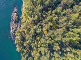 This stunning waterfront property boasts a private, secluded forest setting with mature trees offering breathtaking views.