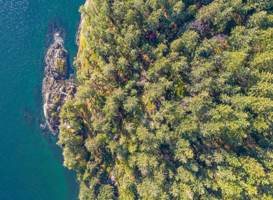 This stunning waterfront property boasts a private, secluded forest setting with lush greenery and mature trees.