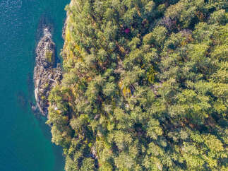 This stunning waterfront property boasts a private, secluded forest setting with lush greenery and mature trees.