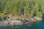 Secluded waterfront property nestled in a lush forest setting.