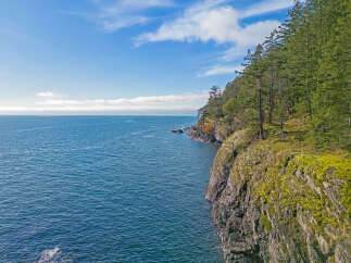 Spectacular oceanfront property boasting dramatic cliffs and lush evergreen forest.
