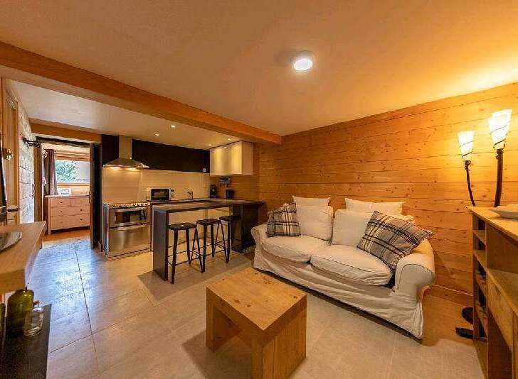 Cozy chalet apartment with open plan kitchen and living area.