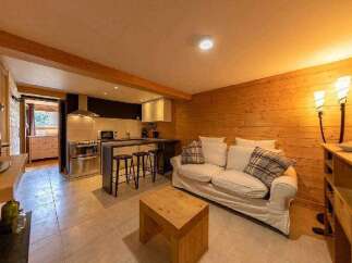 Cozy chalet apartment with open plan kitchen and living area.