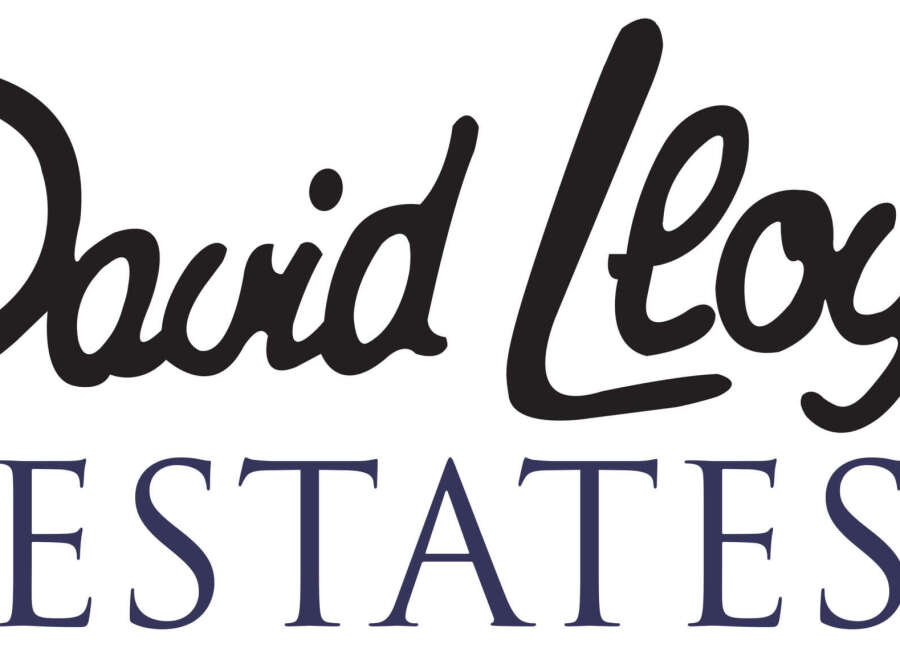 Luxury estates with elegant designs.