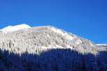 Snowy mountain peak with dense evergreen forest.