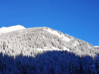 Snowy mountain peak with dense evergreen forest.