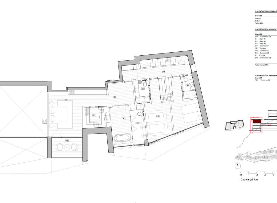 This floor plan showcases a luxurious property layout, highlighting multiple bedrooms (D1, D2, D3) and bathrooms (B1, B2, B3) for optimal comfort and convenience.