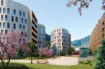 Discover luxurious apartments nestled in a serene mountain setting.