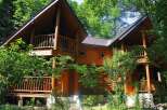 Nestled in a lush forest, this charming log cabin offers a tranquil escape.