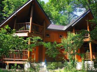 Nestled in a lush forest, this charming log cabin offers a tranquil escape.