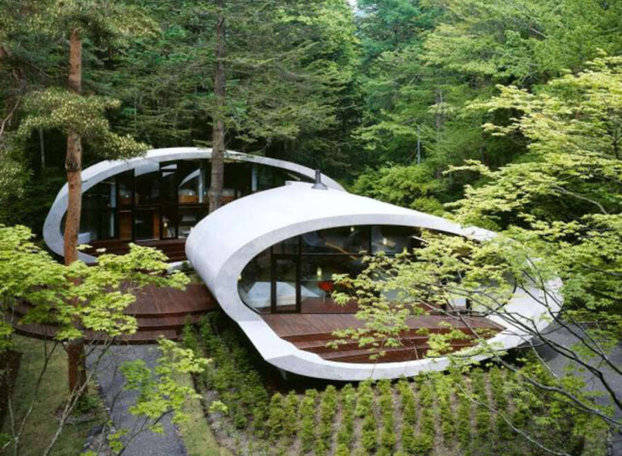 Nestled in a lush forest, this unique home boasts a stunning, modern design with curved concrete walls and expansive windows offering breathtaking views.