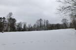 Snowy landscape with footprints in the snow and a line of trees in the background.