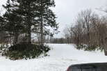 Snowy landscape with a path leading through a forest.
