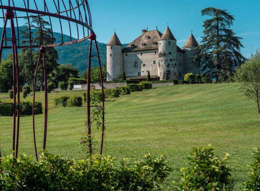 This stunning property boasts a majestic castle as its centerpiece, surrounded by meticulously manicured lawns and lush greenery.