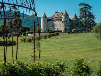 This stunning property boasts a majestic castle as its centerpiece, surrounded by meticulously manicured lawns and lush greenery.