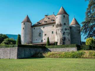 This stunning castle boasts a majestic presence with its multiple towers and well-maintained grounds.