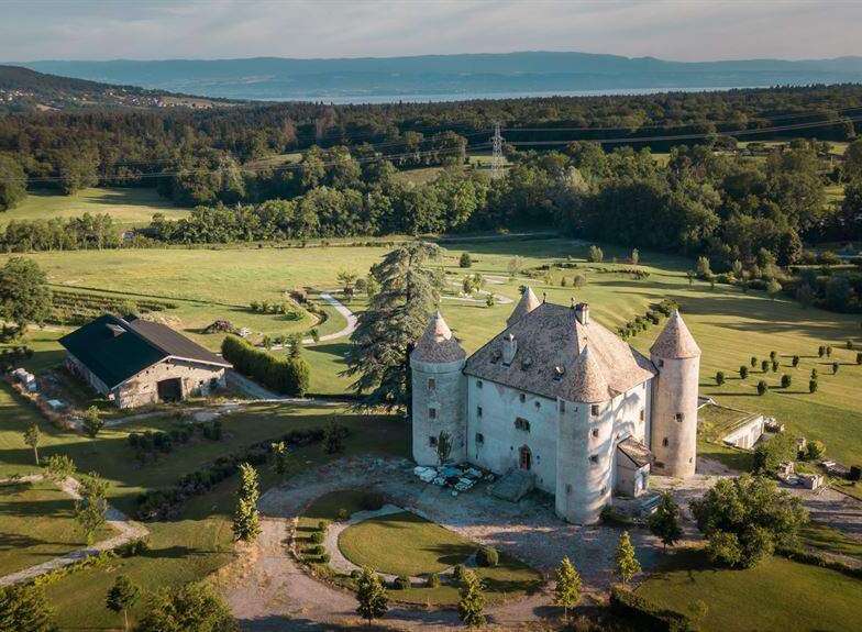 This stunning property boasts a majestic castle as its centerpiece, surrounded by meticulously landscaped gardens and expansive green fields.