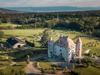 This stunning property boasts a majestic castle as its centerpiece, surrounded by meticulously landscaped gardens and expansive green fields.