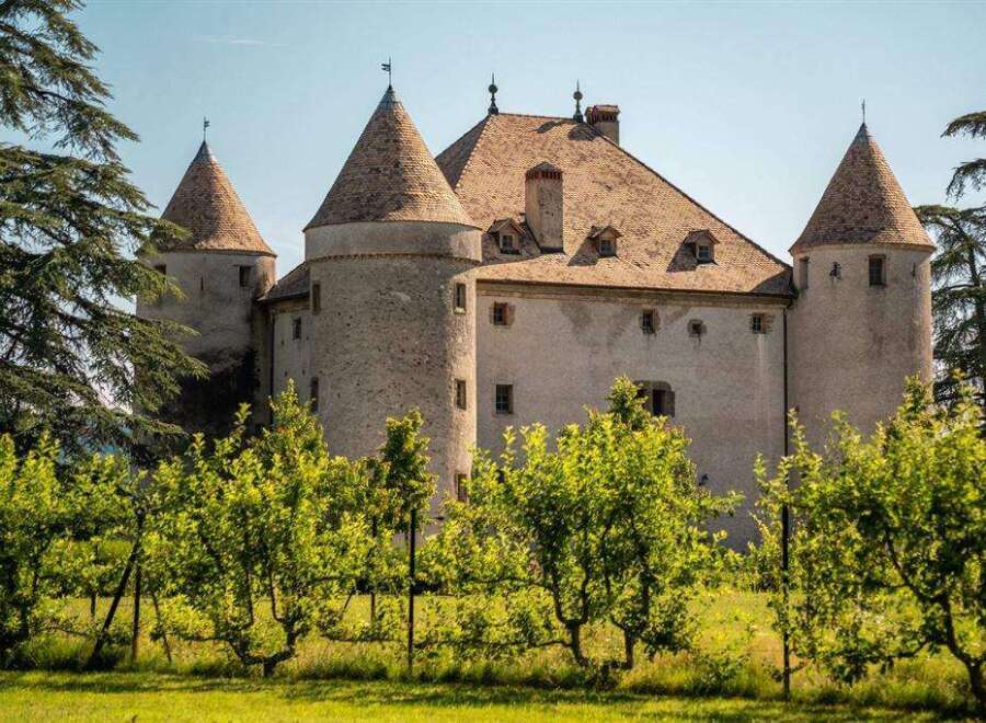 Nestled amidst lush greenery, this majestic castle boasts a charming stone exterior, multiple towers, and a classic pitched roof.