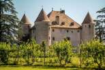 Nestled amidst lush greenery, this majestic castle boasts a charming stone exterior, multiple towers, and a classic pitched roof.
