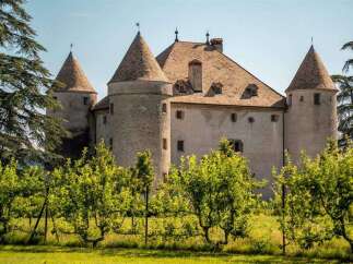 Nestled amidst lush greenery, this majestic castle boasts a charming stone exterior, multiple towers, and a classic pitched roof.