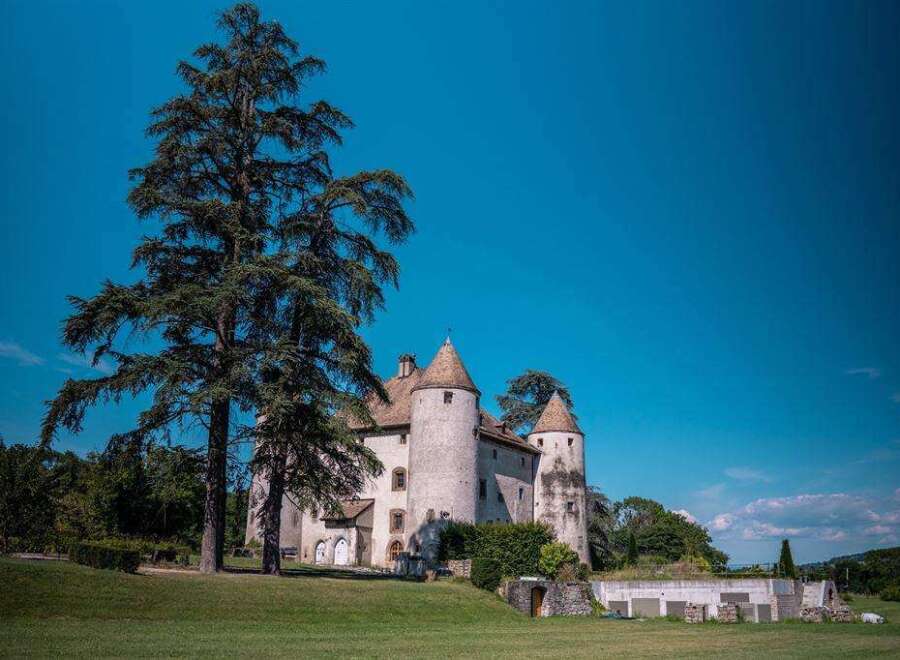 This stunning property boasts a majestic castle with three imposing towers, surrounded by lush greenery and a clear blue sky.