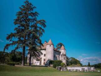 This stunning property boasts a majestic castle with three imposing towers, surrounded by lush greenery and a clear blue sky.