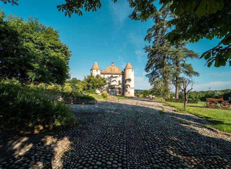Discover this stunning castle property, boasting a charming cobblestone driveway leading to its majestic entrance.