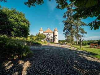 Discover this stunning castle property, boasting a charming cobblestone driveway leading to its majestic entrance.