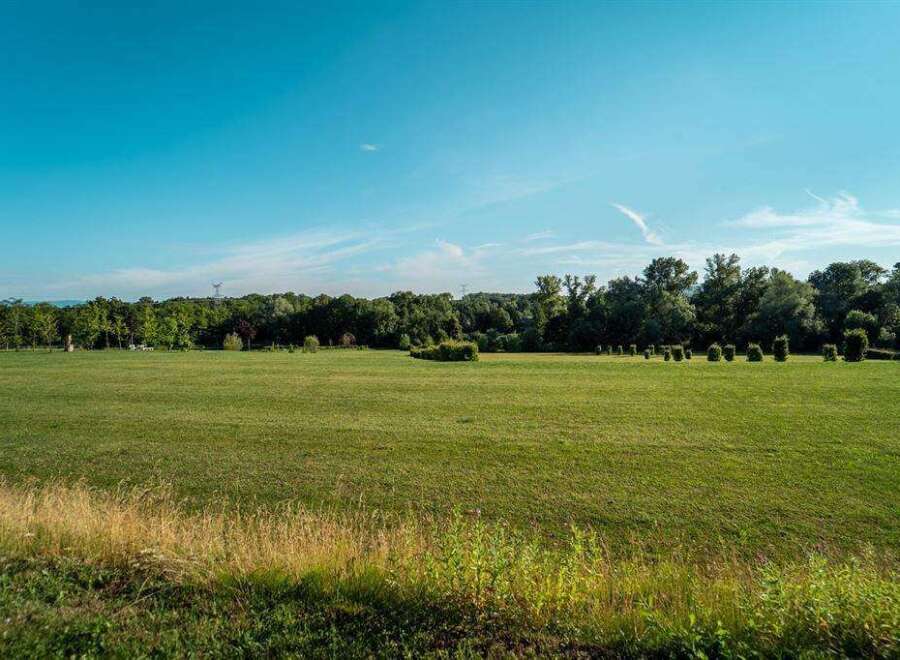 Spacious green field with a tree line in the background.