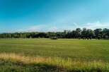 Spacious green field with a tree line in the background.