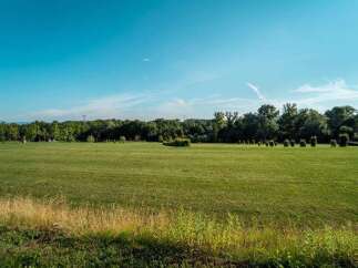 Spacious green field with a tree line in the background.