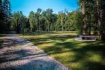 Discover tranquility in this serene park setting, featuring a gravel pathway winding through lush green lawns and mature trees.