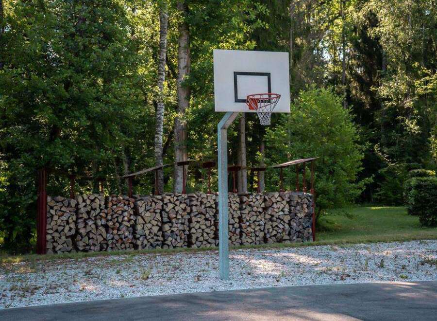 Outdoor basketball court nestled in a wooded area, providing a unique and serene playing experience.