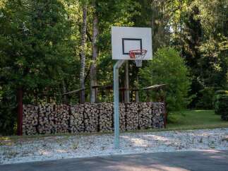 Outdoor basketball court nestled in a wooded area, providing a unique and serene playing experience.